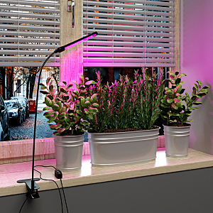 Декоративная лампа Elektrostandard Светильник для растений FT-004 Чёрный