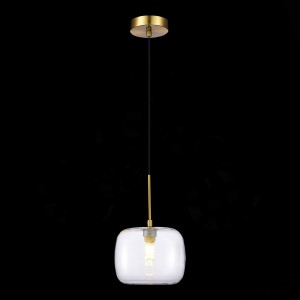 Светильник подвесной ST Luce Finn SL1049.303.01