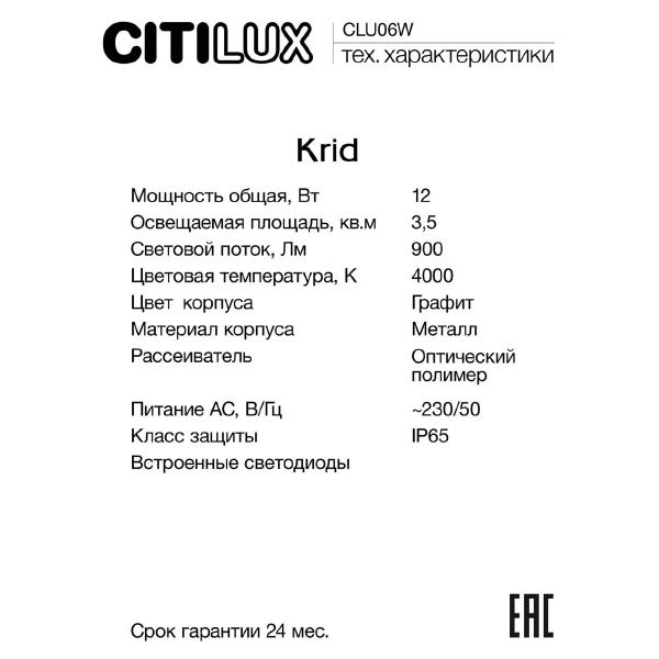 Уличный настенный светильник Citilux Krid CLU06W