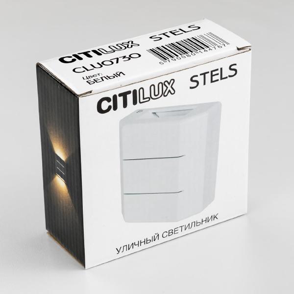 Уличный настенный светильник Citilux Stels CLU0730