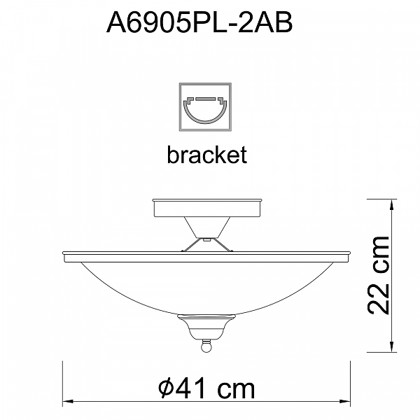 Светильник потолочный Arte Lamp A6905PL-2AB