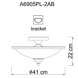 Светильник потолочный Arte Lamp A6905PL-2AB