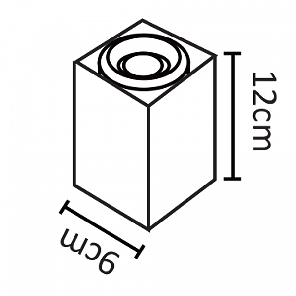 Накладной светильник Arte Lamp Pictor A5655PL-1BK