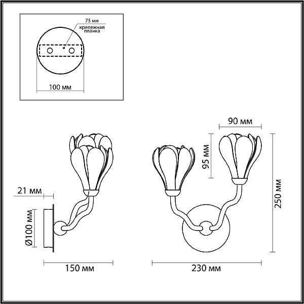 Настенное бра Odeon Light Gardi 5090/2W