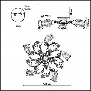 Потолочная люстра Odeon Light Ameli 2252/5C