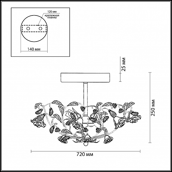 Потолочная люстра Odeon Light Oxonia 2585/5