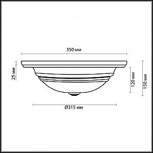 Потолочная люстра Odeon Light Marli 2573/2A