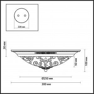 Светильник потолочный Odeon Light Corbea 2670/2C