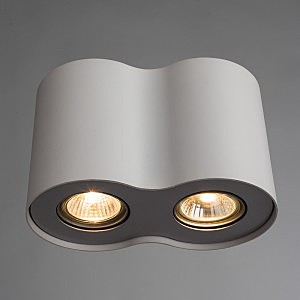 Накладной светильник Arte Lamp Falcon A5633PL-2WH