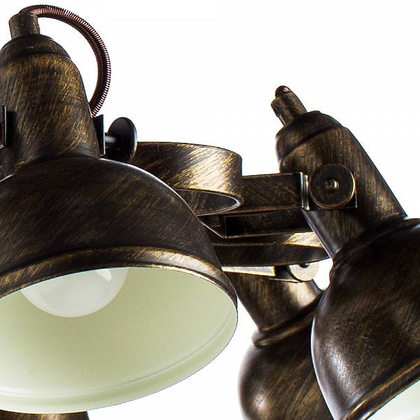 Потолочная люстра Arte Lamp Martin A5216PL-8BR