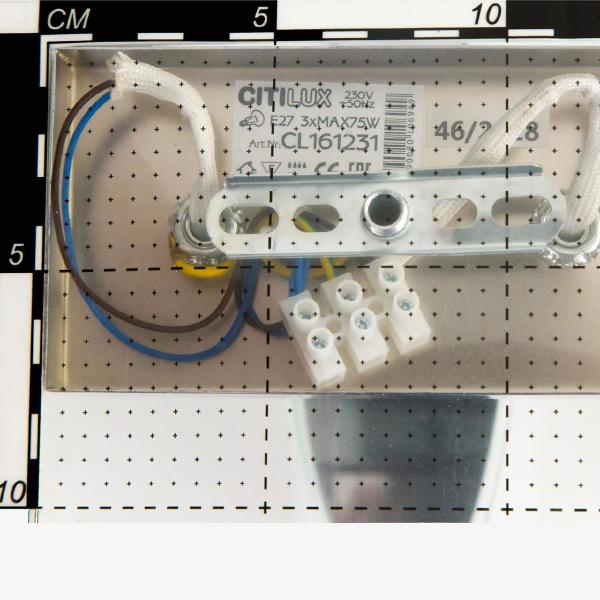 Потолочная люстра Citilux Берген CL161231