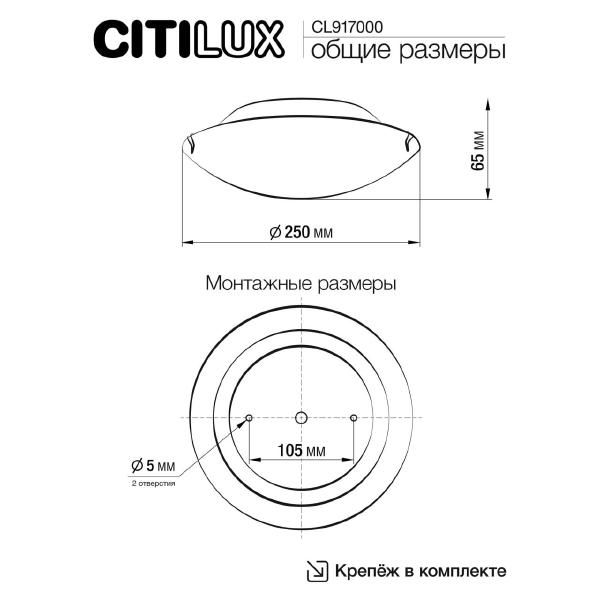 Настенно потолочный светильник Citilux Белый CL917000