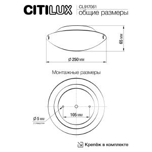 Настенно потолочный светильник Citilux Крона CL917061