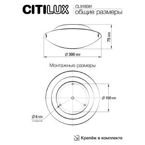 Настенно потолочный светильник Citilux Лайн CL918081