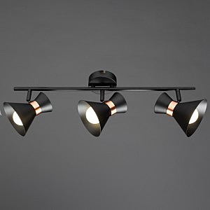 Светильник спот Arte Lamp A1406PL-3BK