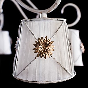 Потолочная люстра Arte Lamp A5495PL-8WG