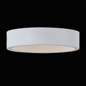 Уличный LED настенный светильник ST Luce SL562 SL562.501.01