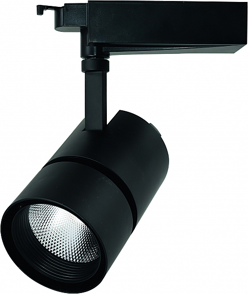 Светильник спот Arte Lamp TRACK LIGHTS A2450PL-1BK