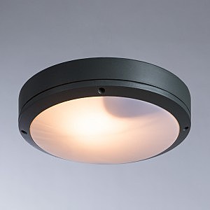 Уличные потолочные Arte Lamp City A8154PF-2GY