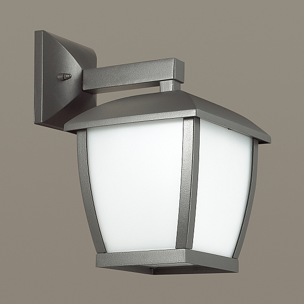 Уличный настенный светильник Odeon Light Tako 4051/1W