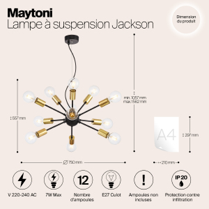 Подвесная люстра Maytoni Jackson T546PL-12B