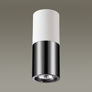 Накладной светильник Odeon Light Duetta 3834/1C