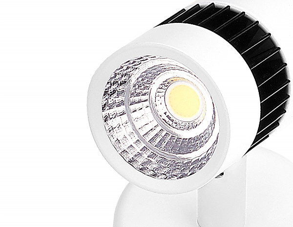 Светильник спот Ambrella Led TN101/5W WH/BK