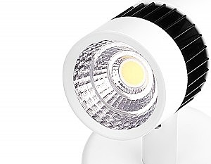 Светильник спот Ambrella Led TN101/5W WH/BK