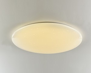 Потолочный LED светильник F-Promo Luna 2319-10C