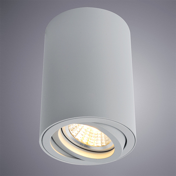 Накладной светильник Arte Lamp Sentry A1560PL-1GY