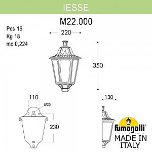 Уличный настенный светильник Fumagalli Iesse M22.000.000.WYF1R