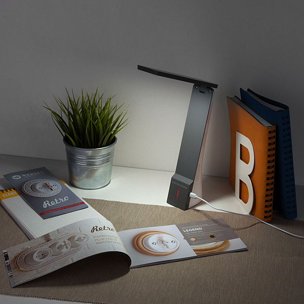 Настольная лампа Elektrostandart Desk белый/серый (TL90450)