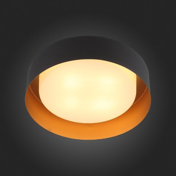 Светильник потолочный ST Luce Chio SL392.422.04