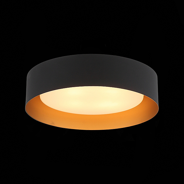 Светильник потолочный ST Luce Chio SL392.422.04