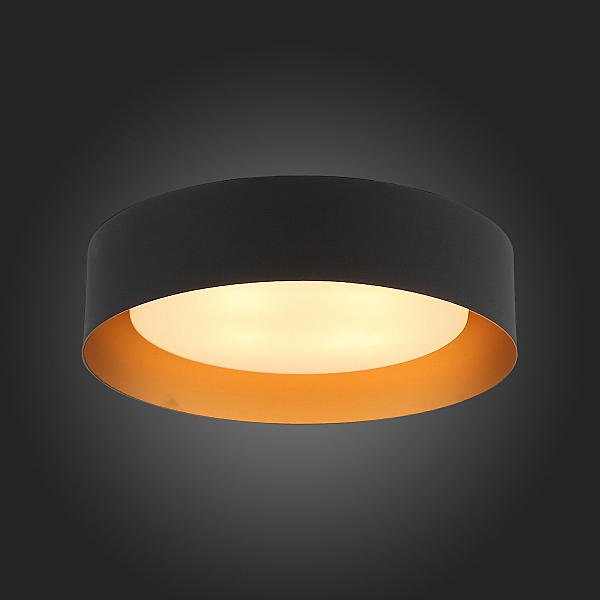 Светильник потолочный ST Luce Chio SL392.422.04