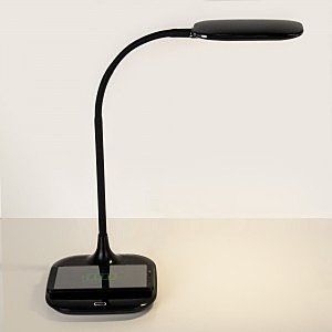 Настольная лампа Elektrostandard Effi 80419/1 черный