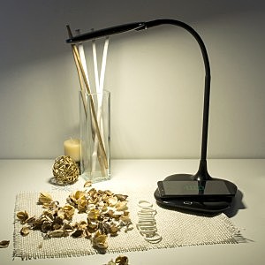 Настольная лампа Elektrostandard Effi 80419/1 черный