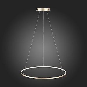 Подвесная люстра ST Luce Erto SL904.213.01