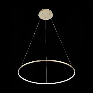 Подвесная люстра ST Luce Erto SL904.213.01