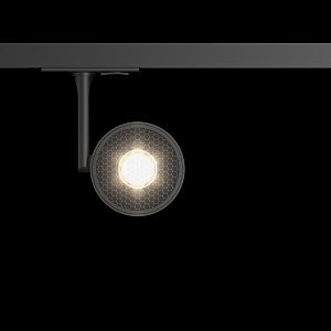 Трековый светильник Maytoni Track Lamps TR024-1-10B3K