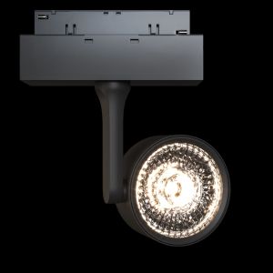 Трековый светильник Maytoni Track Lamps TR024-2-10B4K