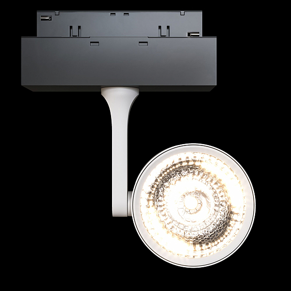 Трековый светильник Maytoni Track Lamps TR024-2-10W3K