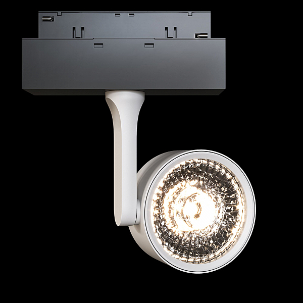 Трековый светильник Maytoni Track Lamps TR024-2-10W3K