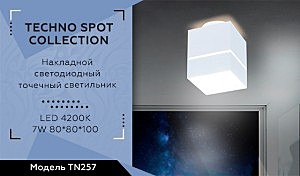 Накладной светильник Ambrella Techno TN257