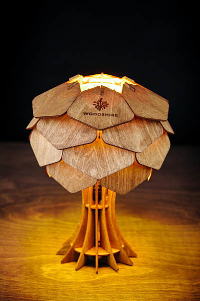 Настольная лампа Woodshire Астеко 1330b/1
