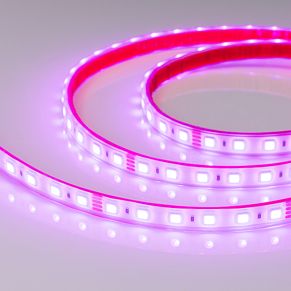 LED лента Arlight RTW герметичная 013530(1)