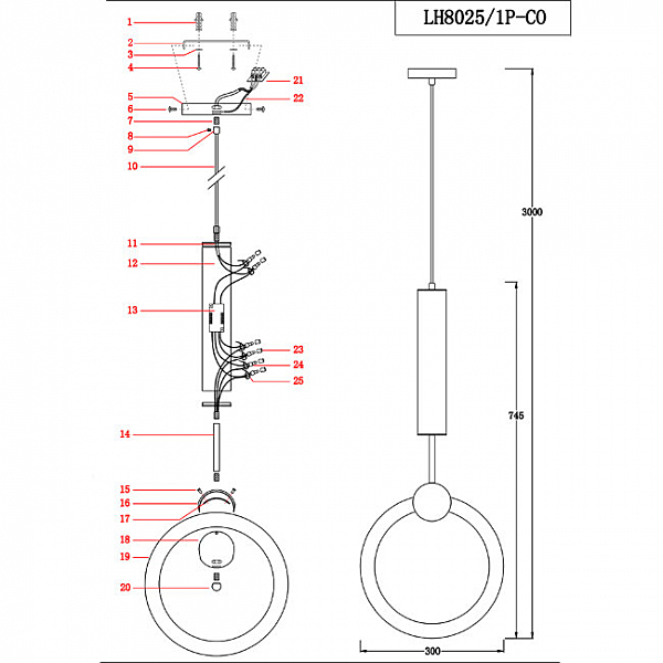 Светильник подвесной Lumien Hall Dorian LH8025/1P-CO