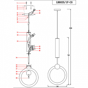 Светильник подвесной Lumien Hall Dorian LH8025/1P-CO