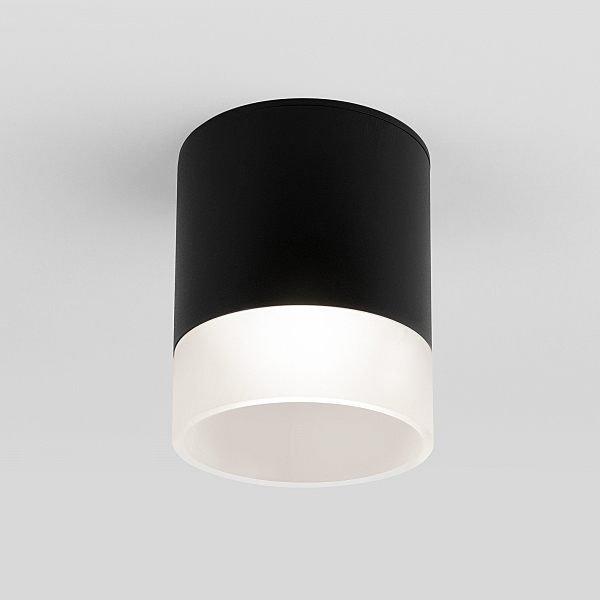 Уличный потолочный светильник Elektrostandard Light LED Light LED 2107 (35140/H) черный