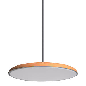 Светильник подвесной Loft It Plato 10119 Orange